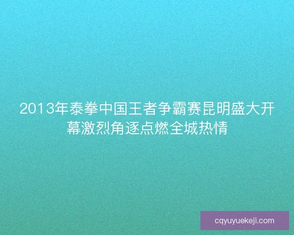 2013年泰拳中国王者争霸赛昆明盛大开幕激烈角逐点燃全城热情
