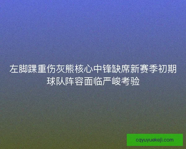 左脚踝重伤灰熊核心中锋缺席新赛季初期球队阵容面临严峻考验